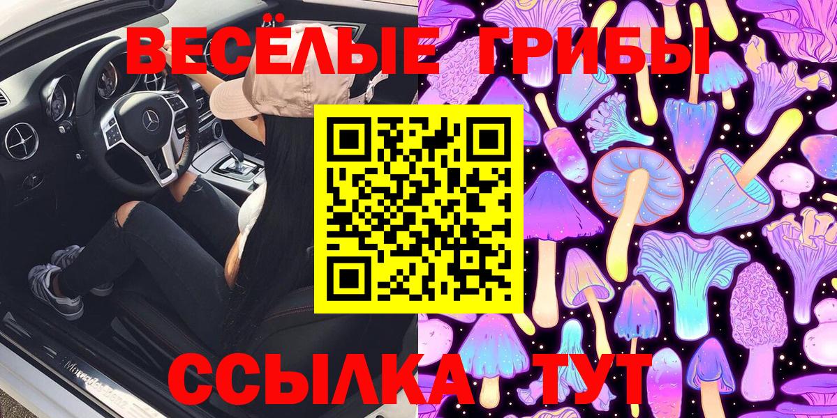 Псилоцибиновые грибы MAGIC MUSHROOMS  цены наркотик  Белово  Псилоцибиновые грибы MAGIC MUSHROOMS  Вход с VPN 